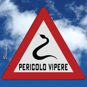 PericoloVipere_Web