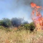 cagliari_sterpaglie_in_fiamme_a_s_michele_vigili_e_forestale_spengono_incendio-0-0-404808