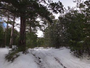 pista monte baracca distrutta dai fuoristrada