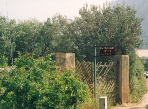 Passaggio delle lepri