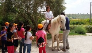 maestra a cavallo 2