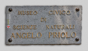 MuseoScienzeNaturali_Web