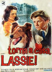 lassie2
