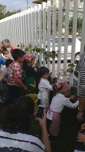 Vendemmia sc mat S M la strada