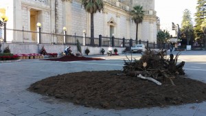 10578916_661409417335658_733758414_o