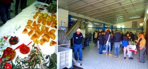Il buffet a base di pane condito ed il frantoio Morabito di Francavilla di Sicilia durante la visita degli studenti dell'Istituto Alberghiero E. Medi di Randazzo