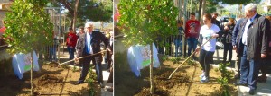 Il sindaco di Francavilla di Sicilia, Lino Monea, ed una studentessa della scuola media mentre piantano simbolicamente l'alloro in memoria delle tre fornaie