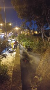 14055630_10205175640909753_24908449_n