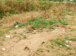 04 Degrado ambientale nella Valle dell'Alcantara