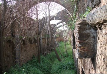 Etna, un patrimonio da tutelare