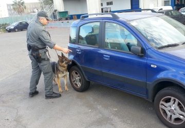 Sequestrati 4 kg di cocaina. Un arresto