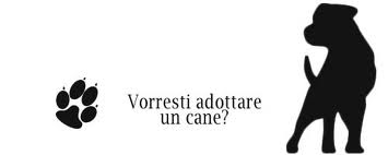 cane