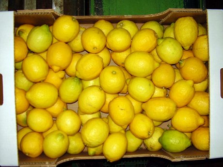 Santa Venerina, due arresti per furto di limoni