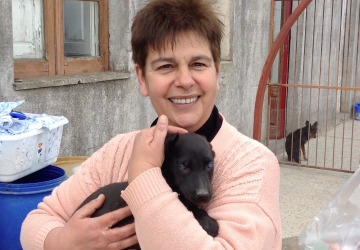 Oasi del randagio: viaggio nel rifugio dell'amore VIDEO