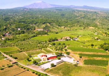 Vino, olio e tartufi tra l&rsquo;Etna e l&rsquo;Alcantara