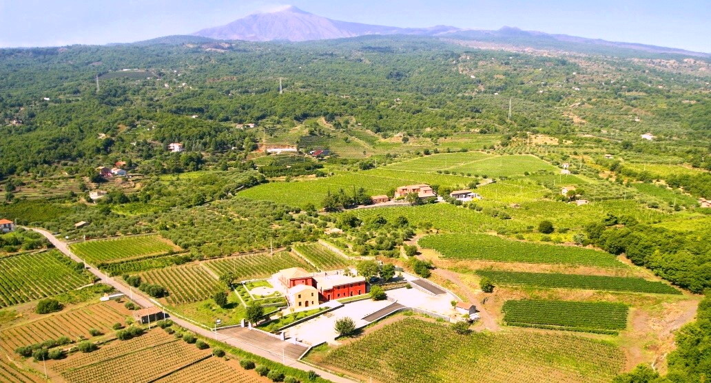 Vino, olio e tartufi tra l’Etna e l’Alcantara