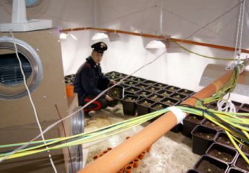 Catania e provincia, diversi arresti