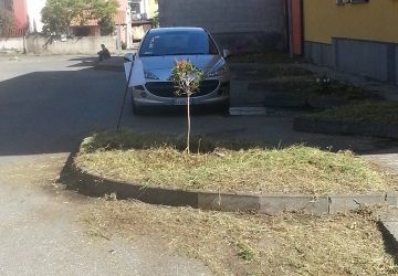 Riposto, al via la scerbatura lungo le strade di Torre Archirafi e Quartirello