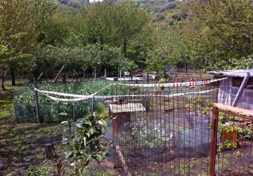 Mascali, omicidio Roberto Grasso: Tribunale della Libert&agrave; concede domiciliari all'omicida