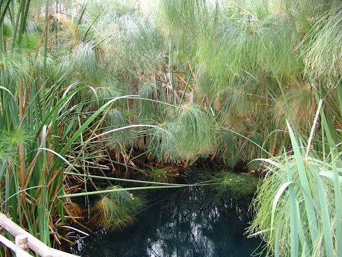 Riserva Fiumefreddo e Oasi Simeto aperte nel ponte del primo maggio