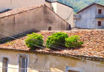 Francavilla, dove la Natura impera sovrana…