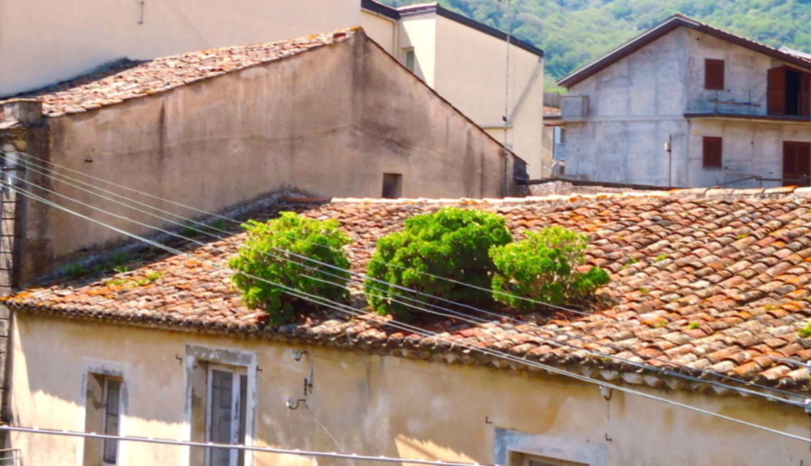 Francavilla, dove la Natura impera sovrana…