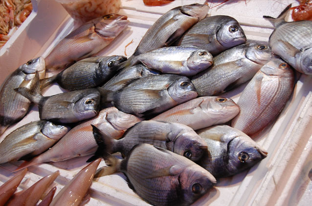 Catania, controlli del pesce destinato ai ristoranti di Ognina. Sanzioni della Guardia costiera