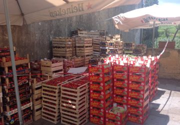 Operazione ambulanti: ecco il video della merce sequestrata