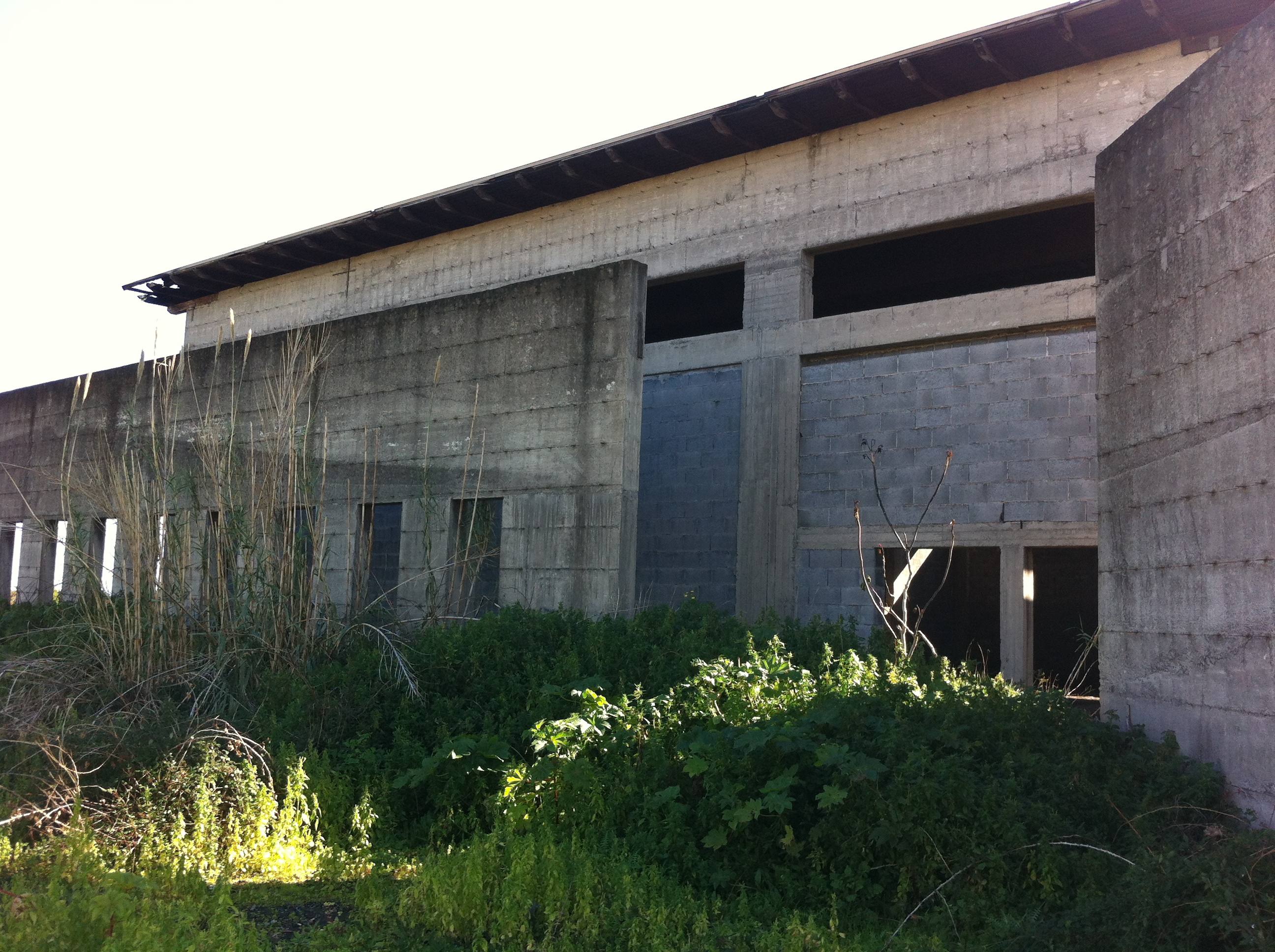 Mascali, appello per “sbloccare” il Centro polifunzionale di Mascali