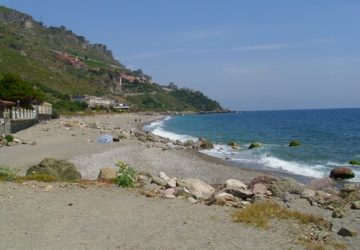 Maiale in spiaggia. Denunciato