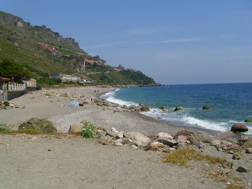 Maiale in spiaggia. Denunciato