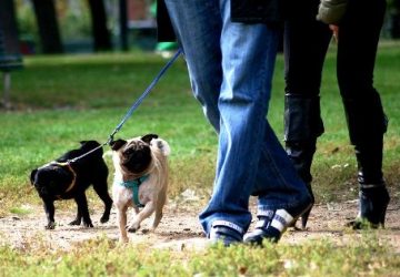 San Gregorio, lotta ai &ldquo;ricordini&rdquo; dei cani