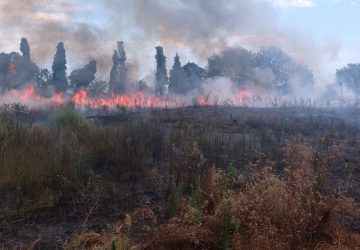 In fiamme la collina di Giarre VIDEO 