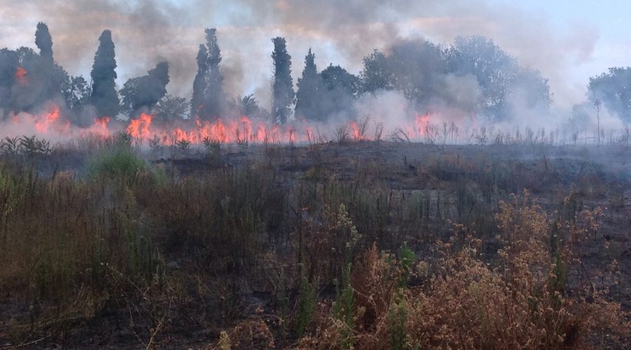 In fiamme la collina di Giarre VIDEO