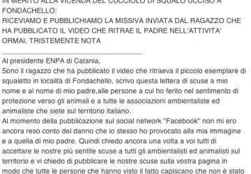 Il caso &ldquo;squalo&rdquo;: arrivano le scuse