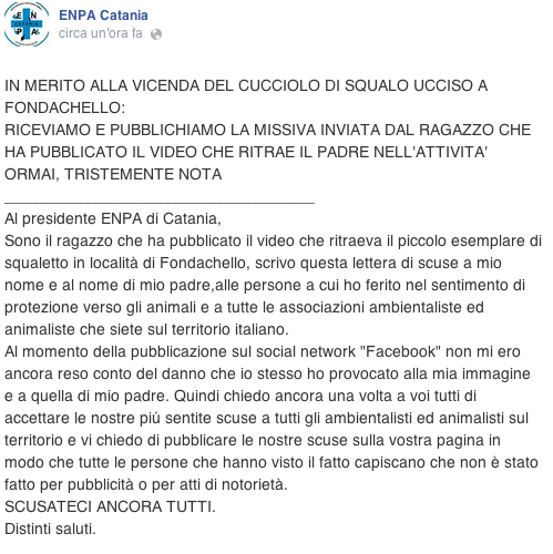 Il caso “squalo”: arrivano le scuse