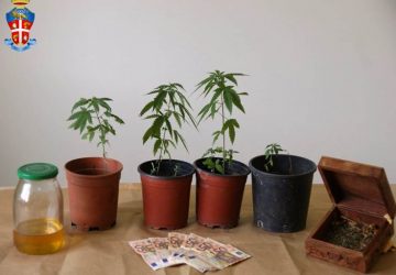 Piedimonte Etneo, deteneva piantine marijuana: arrestata una donna