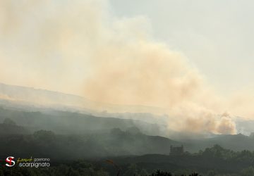 Calatabiano, vasto incendio su un terreno lungo la Ss114