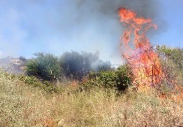 Mascali, intervento dei Vigili del fuoco in contrada Scocciavarca Montarsi: in fiamme rovi e sterpaglie
