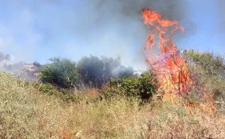 Mascali, intervento dei Vigili del fuoco in contrada Scocciavarca Montarsi: in fiamme rovi e sterpaglie