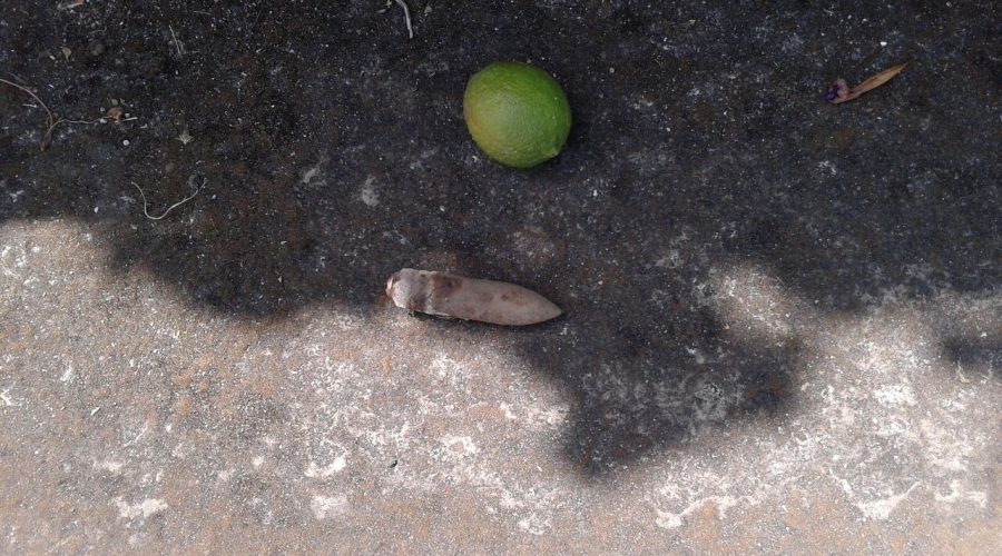 Macchia di Giarre: trovate in un terreno armi e munizioni?  VIDEO ESCLUSIVO