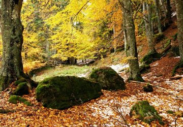 Belpasso festeggia&hellip;. &ldquo;&rsquo;a muntagna&rdquo;!