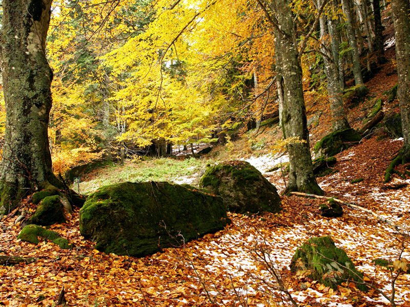 Belpasso festeggia…. “’a muntagna”!