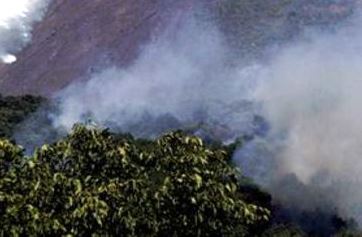 A Maniace operaio forestale brucia rifiuti. Denunciato