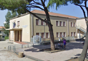 Giarre, torna la processionaria. Allarme nell'area a verde del plesso Don Bosco