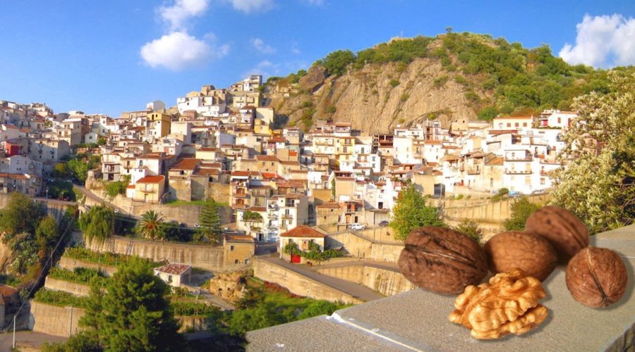 Motta Camastra celebra la sua esclusivissima noce