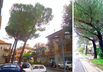 Francavilla, il verde pubblico si tinge di &ldquo;horror&rdquo;