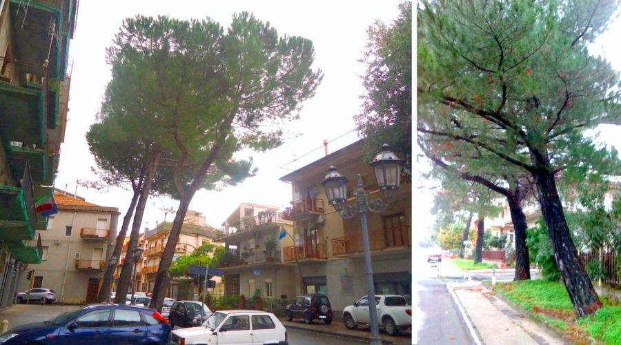 Francavilla, il verde pubblico si tinge di “horror”