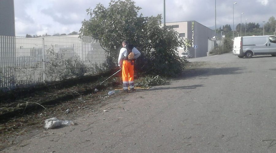 Giarre, Zona artigianale: al via interventi di scerbatura