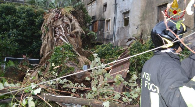 Cronaca di un mercoledì da incubo FOTO/VIDEO